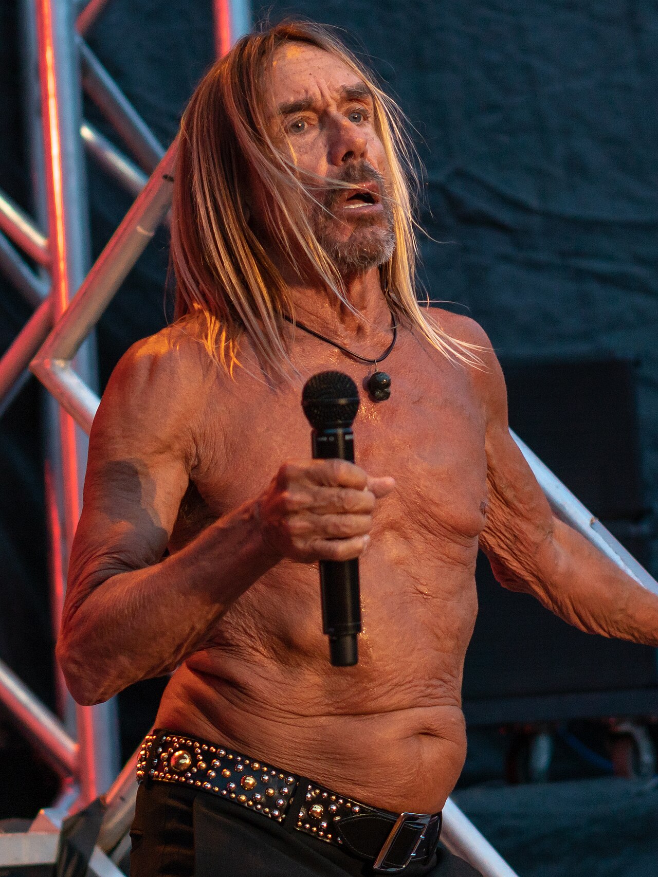 Sweet Little Human 2 Iggy Pop WOWGoth090818 213 44961688755 cropped